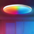 Smart LED Ceiling Light, 24W, RGB White Warm White, Surface Mounted VexonGear
