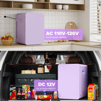 Vexon 22L Mini Fridge Cooler & Warmer