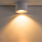 Aluminum LED Ceiling Light, 30° Adjustable Tilt, 7W–12W Options VexonGear