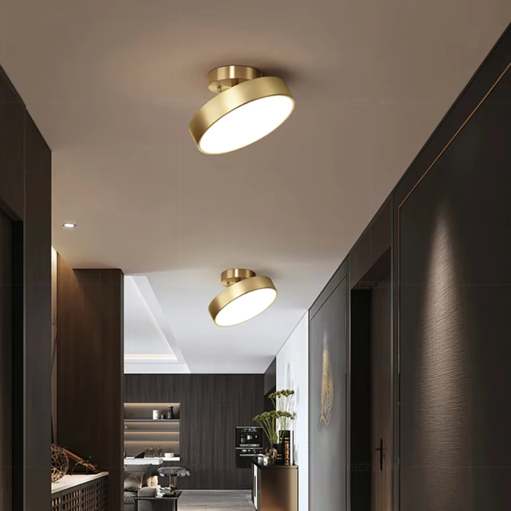 Ceiling Light Fixture, Metal Body, LED Compatible VexonGear