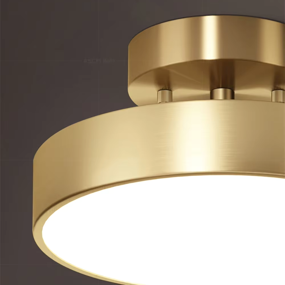 Ceiling Light Fixture, Metal Body, LED Compatible VexonGear