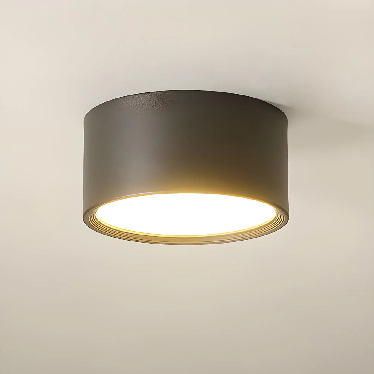Ceiling Light LED Cylinder Flush Mount Metal Acrylic Shade VexonGear