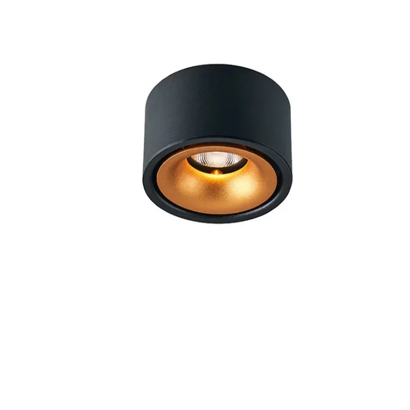 Ceiling Spotlight Adjustable Head Matte Aluminum Integrated LED VexonGear