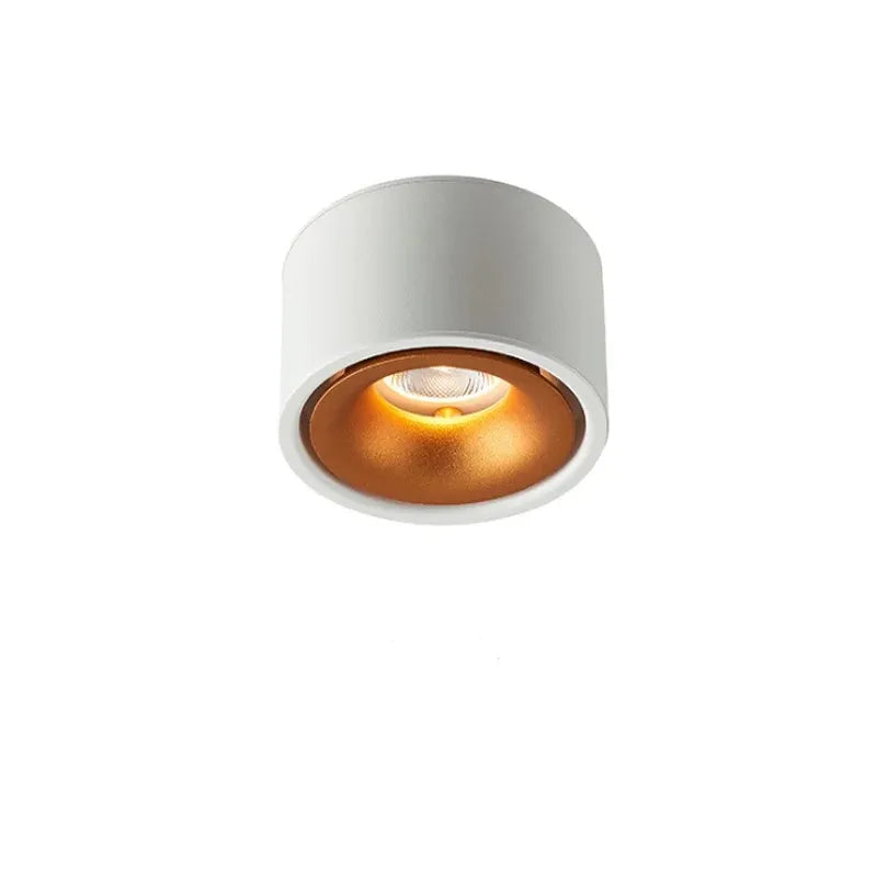 Ceiling Spotlight Adjustable Head Matte Aluminum Integrated LED VexonGear