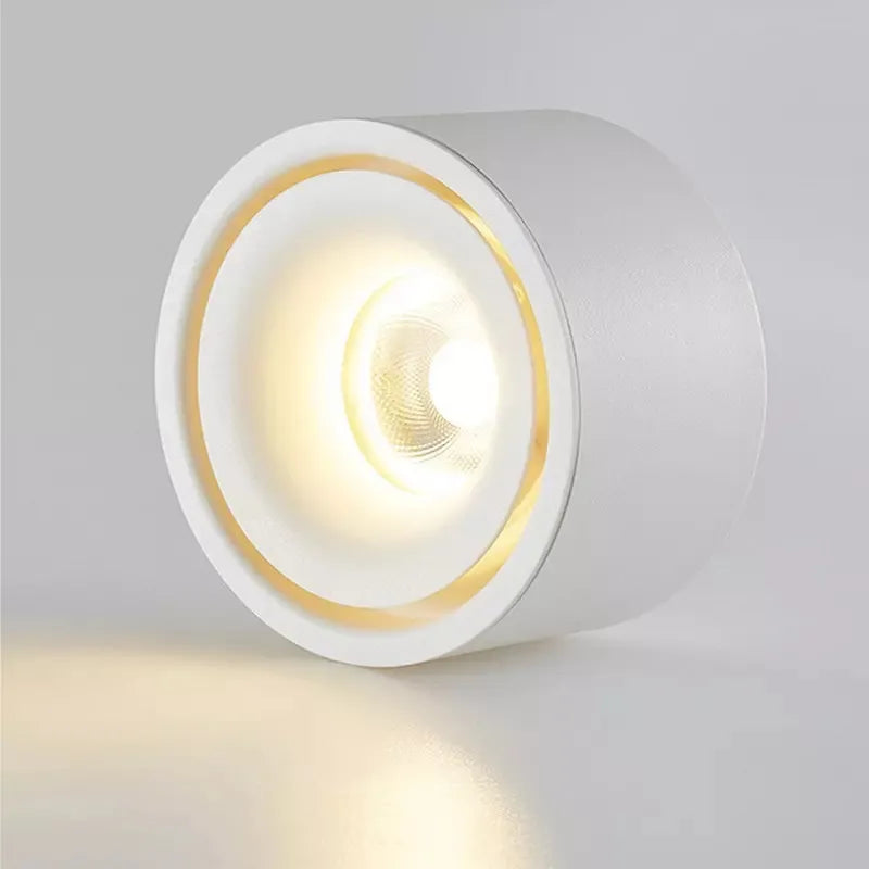 Ceiling Spotlight Adjustable Head Matte Aluminum Integrated LED VexonGear
