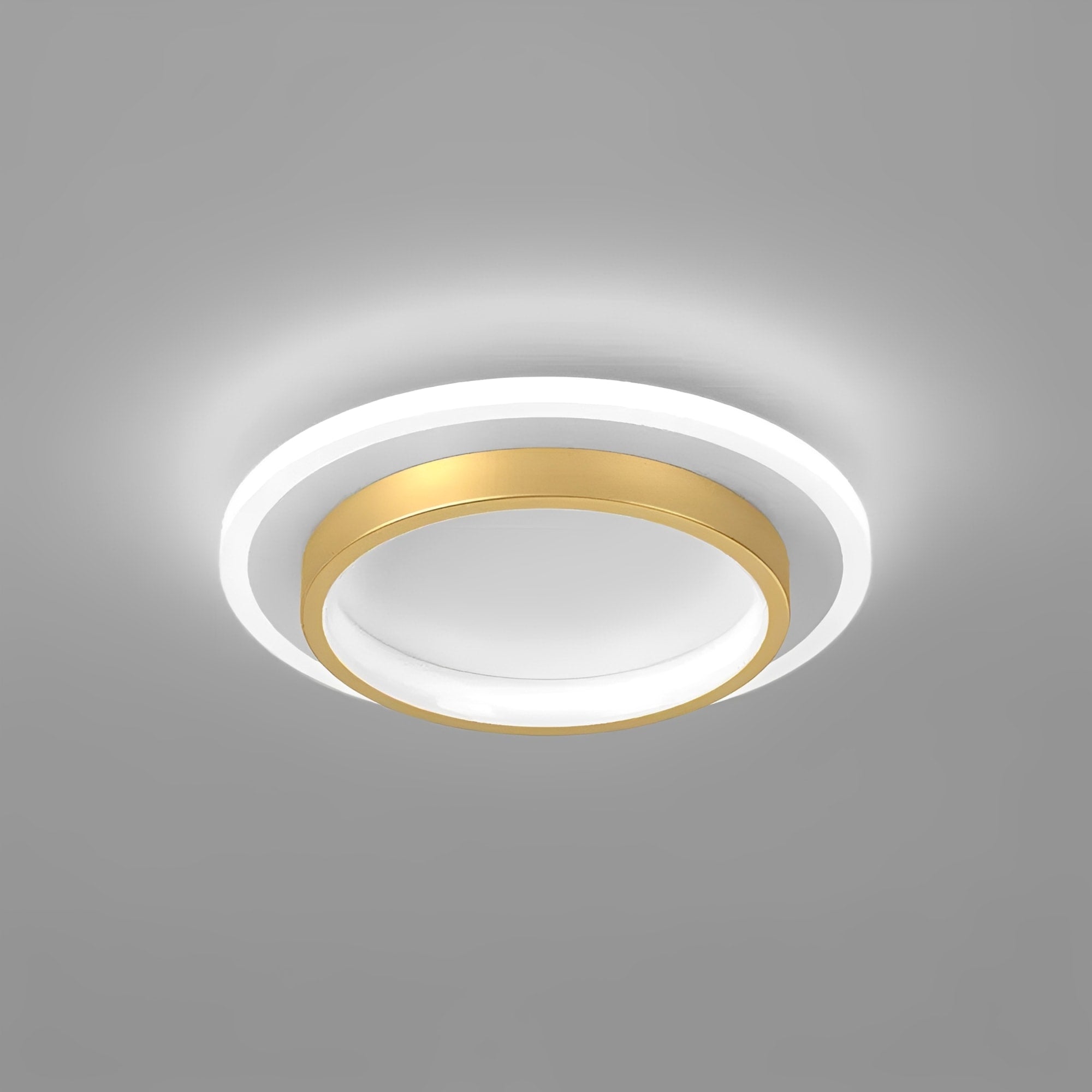 Ceiling Light Round Acrylic Built In LED Warm White Indoor Fixture VexonGear