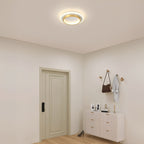Ceiling Light Round Acrylic Built In LED Warm White Indoor Fixture VexonGear