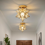 Flush Mount Ceiling Light Iron PVC 20 cm Star Shape Integrated LED 3000K 110 to 220V VexonGear