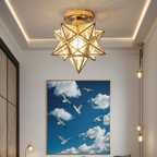 Flush Mount Ceiling Light Iron PVC 20 cm Star Shape Integrated LED 3000K 110 to 220V VexonGear