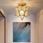 Flush Mount Ceiling Light Iron PVC 20 cm Star Shape Integrated LED 3000K 110 to 220V VexonGear