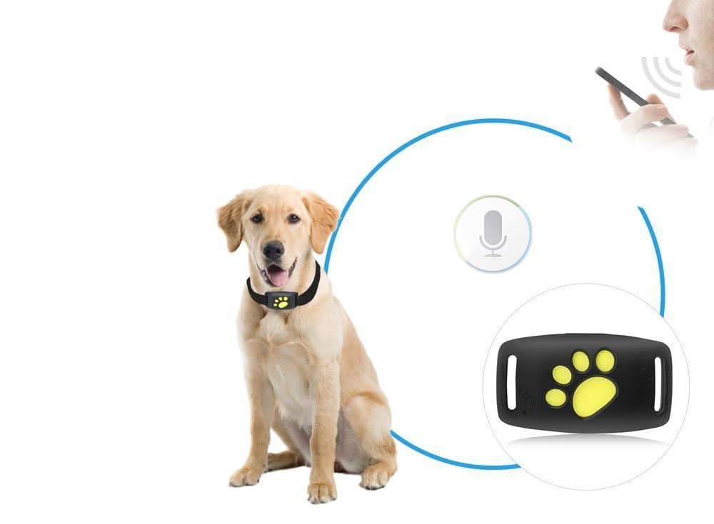 Vexon Cat GPS Tracker with Real-Time Tracking, No Subscription