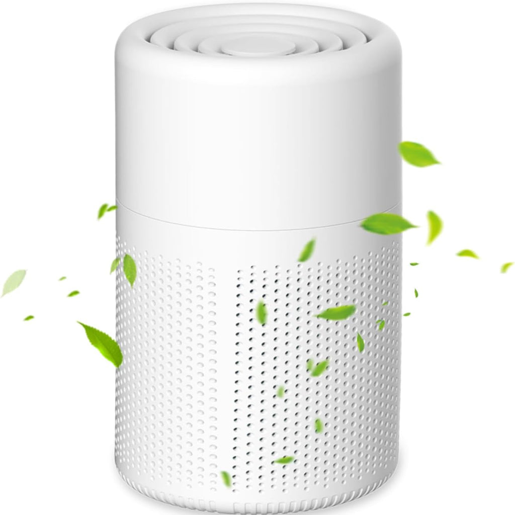 Air Purifier True HEPA Filter Portable Operation Best Air Filter for Home