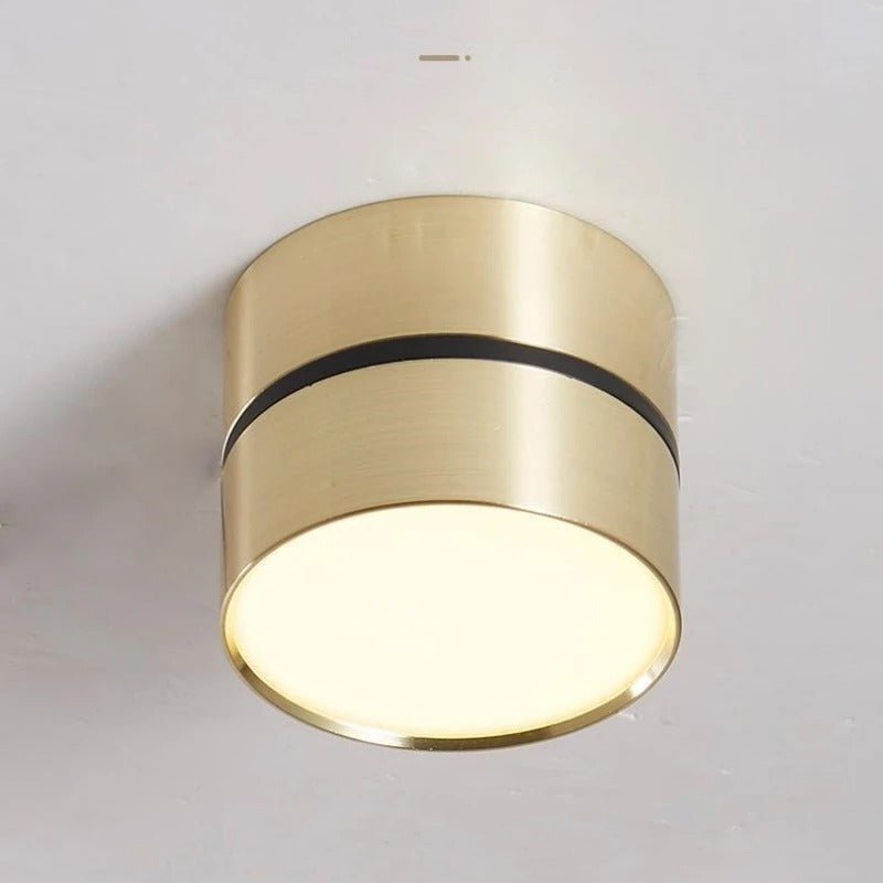 LED Ceiling Spotlight Adjustable Direction Aluminum Ceiling Light VexonGear