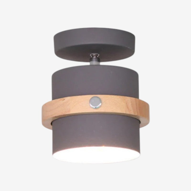 Rotating Flush Mount Ceiling Light LED Dimmable VexonGear