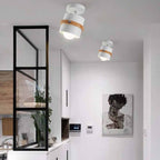 Rotating Flush Mount Ceiling Light LED Dimmable VexonGear