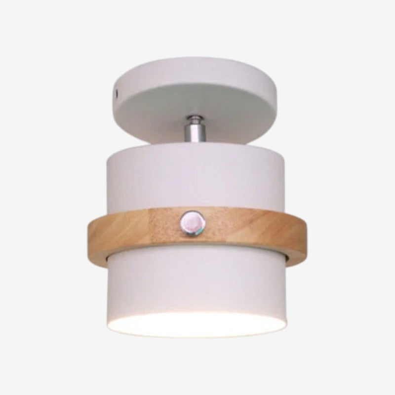 Rotating Flush Mount Ceiling Light LED Dimmable VexonGear