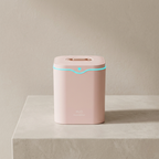 Ultrasonic Humidifier 2000 ml USB C Dual Spray Modes Night Light