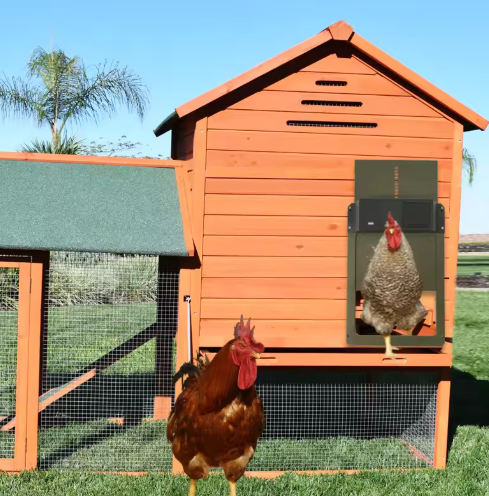 Vexon Automatic Chicken Coop Door with Solar & Battery Options