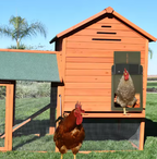 Vexon Automatic Chicken Coop Door with Solar & Battery Options