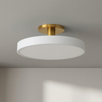 Flush Mount LED Ceiling Light Fixture – Warm White Circular Design for Elegant Illumination in Any Room VexonGear