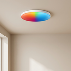 Smart LED Ceiling Light, 24W, RGB White Warm White, Surface Mounted VexonGear