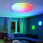 Smart LED Ceiling Light, 24W, RGB White Warm White, Surface Mounted VexonGear