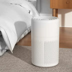 Air Purifier, H13 HEPA Filter, 360° Air Intake, Touch Control