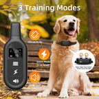 Vexon Waterproof Rechargeable 1000m Dog Training E-Collar