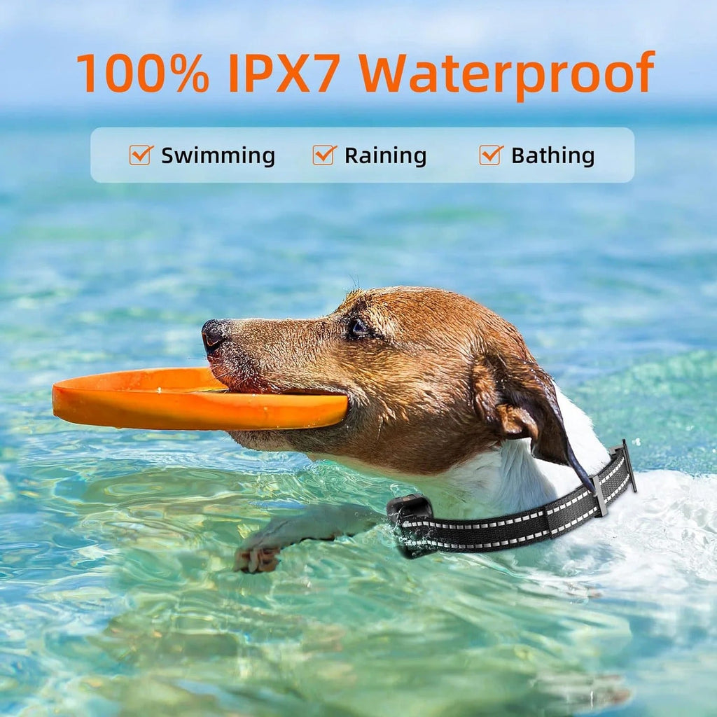 Vexon Waterproof Rechargeable 1000m Dog Training E-Collar