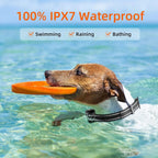 Vexon Waterproof Rechargeable 1000m Dog Training E-Collar