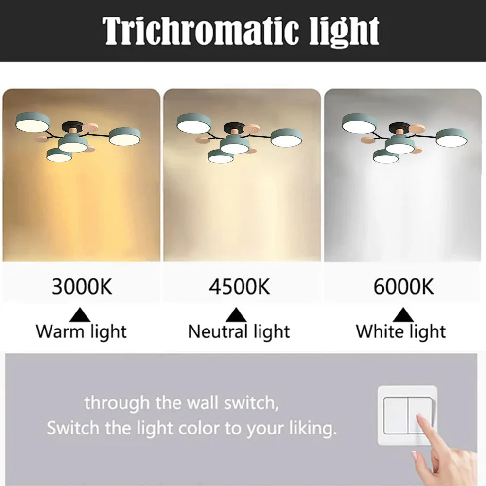 Vexon Modern LED Ceiling Light Chandelier for Living Room