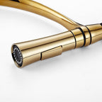 Modern Kitchen Faucet | Gold Pull-Down Spray Head VexonGear