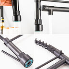 Modern Kitchen Faucet | Matte Black Pull-Down Sprayer VexonGear